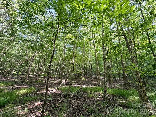 10.5 Acres of Land for Sale in Lake Wylie, South Carolina