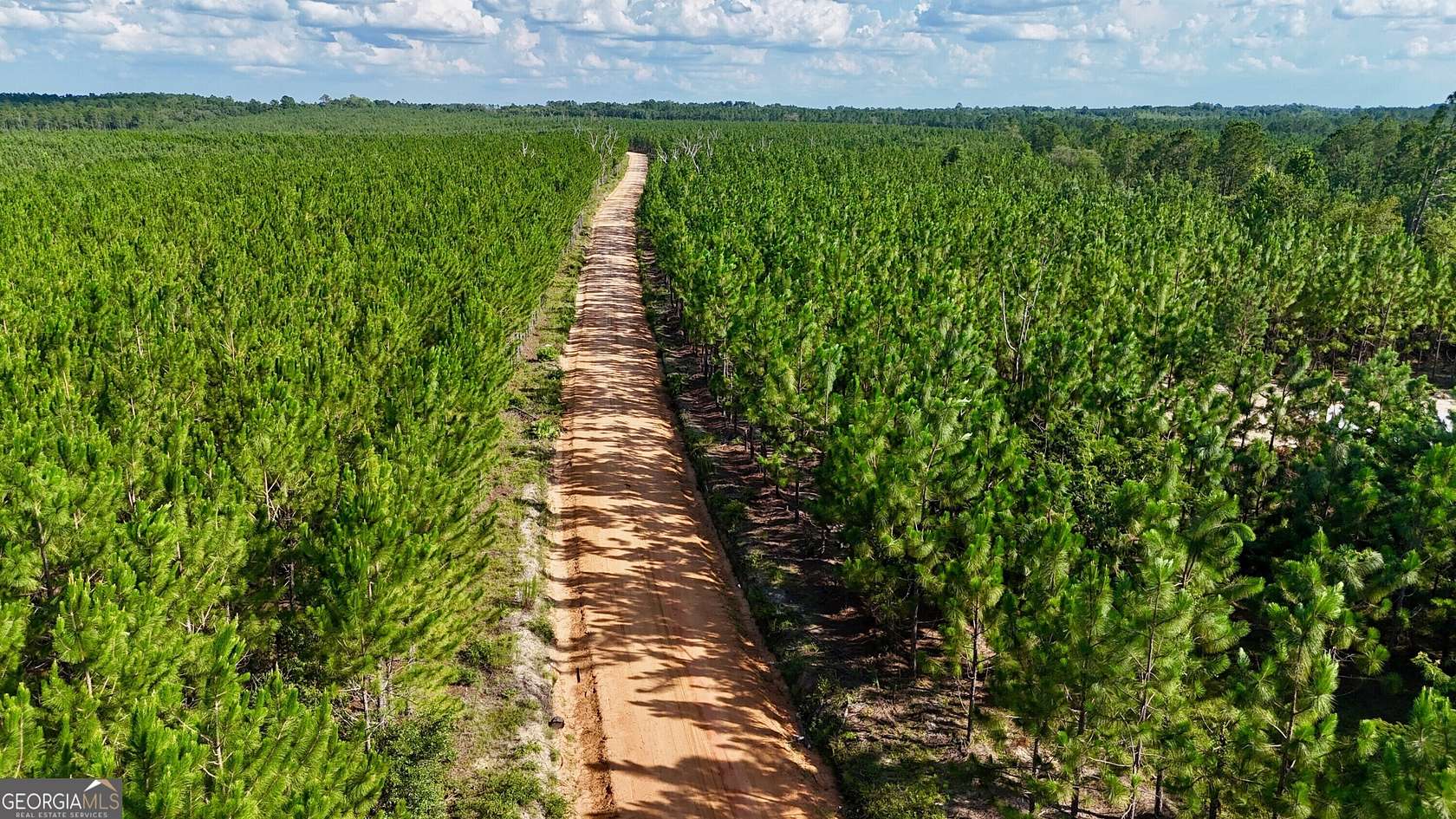 3 Acres of Residential Land for Sale in Baxley, Georgia