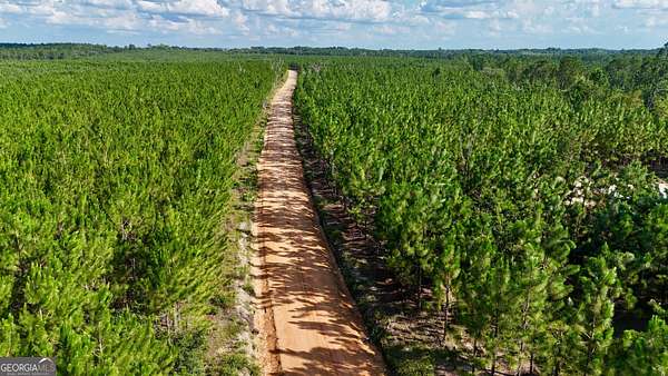 3 Acres of Residential Land for Sale in Baxley, Georgia