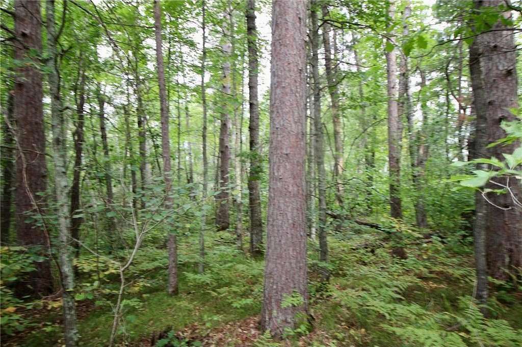 2.5 Acres of Residential Land for Sale in Pequot Lakes, Minnesota