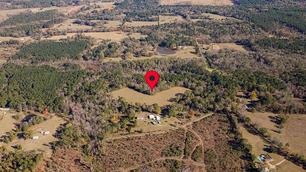 51.3 Acres of Recreational Land for Sale in Hallsville, Texas