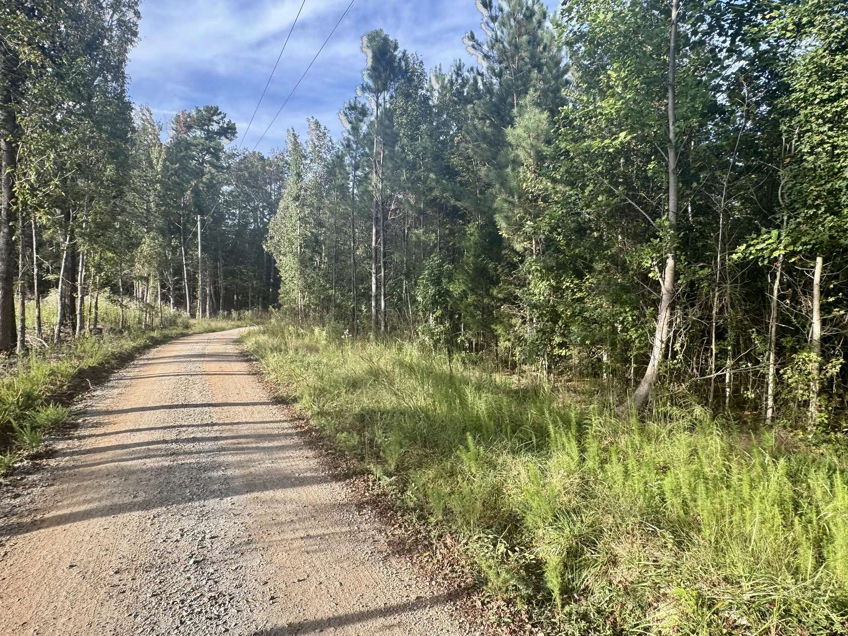 5.7 Acres of Land for Sale in Donalds, South Carolina