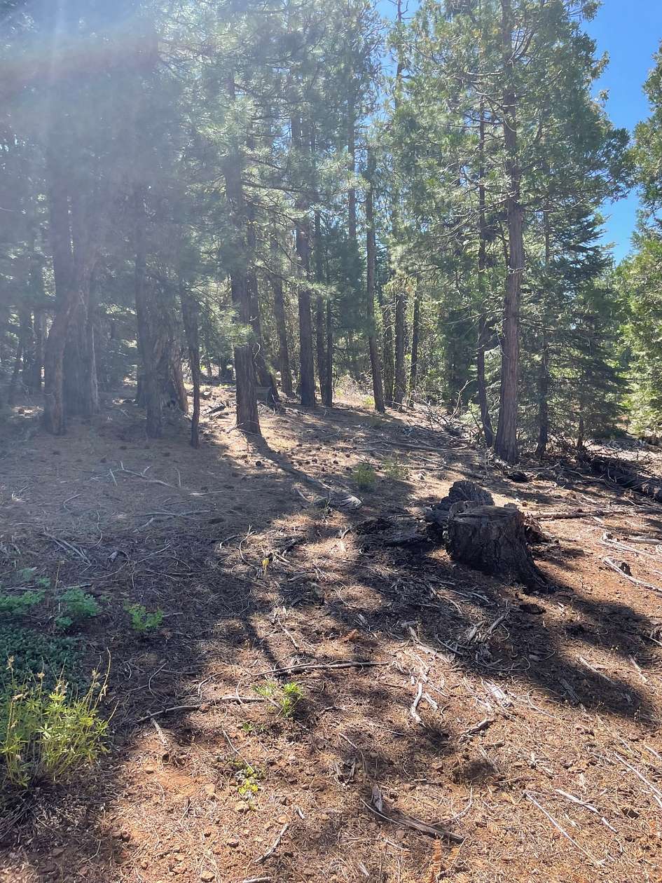 1 Acre of Residential Land for Sale in Alturas, California