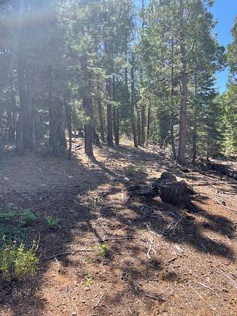 1 Acre of Residential Land for Sale in Alturas, California