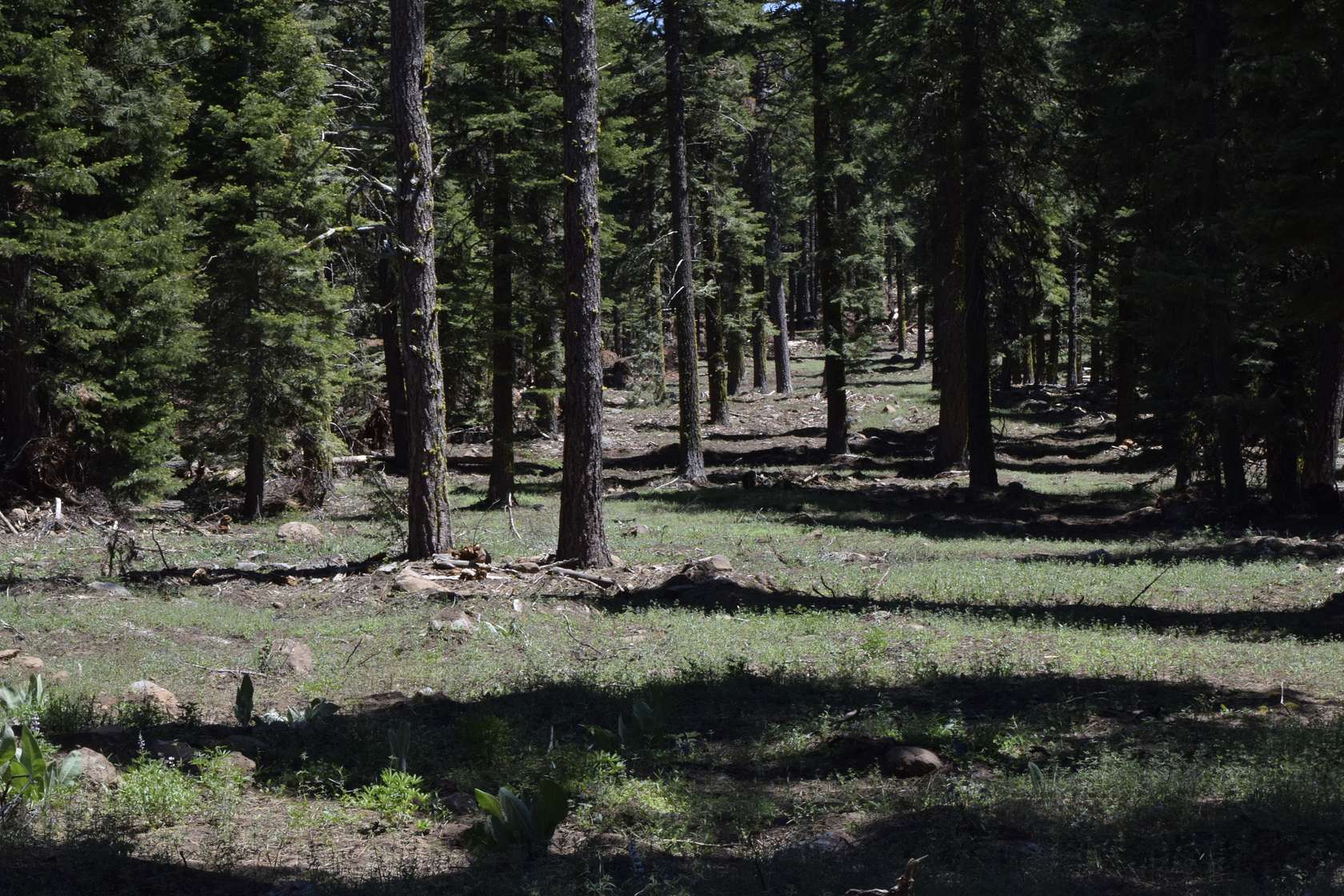 1 Acre of Residential Land for Sale in Alturas, California