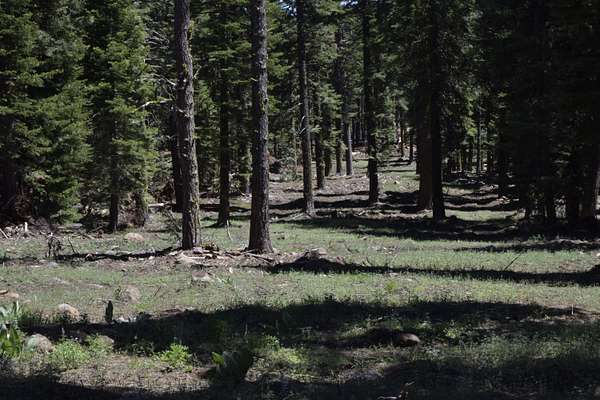 1 Acre of Residential Land for Sale in Alturas, California