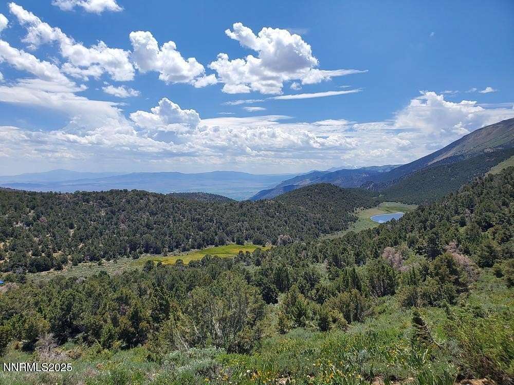 80 Acres of Recreational Land for Sale in Minden, Nevada