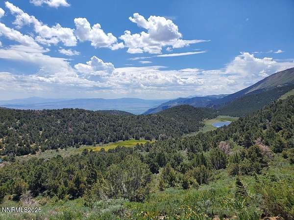 80 Acres of Recreational Land for Sale in Minden, Nevada