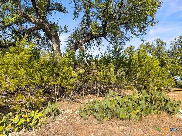 1 Acre of Residential Land for Sale in Spring Branch, Texas