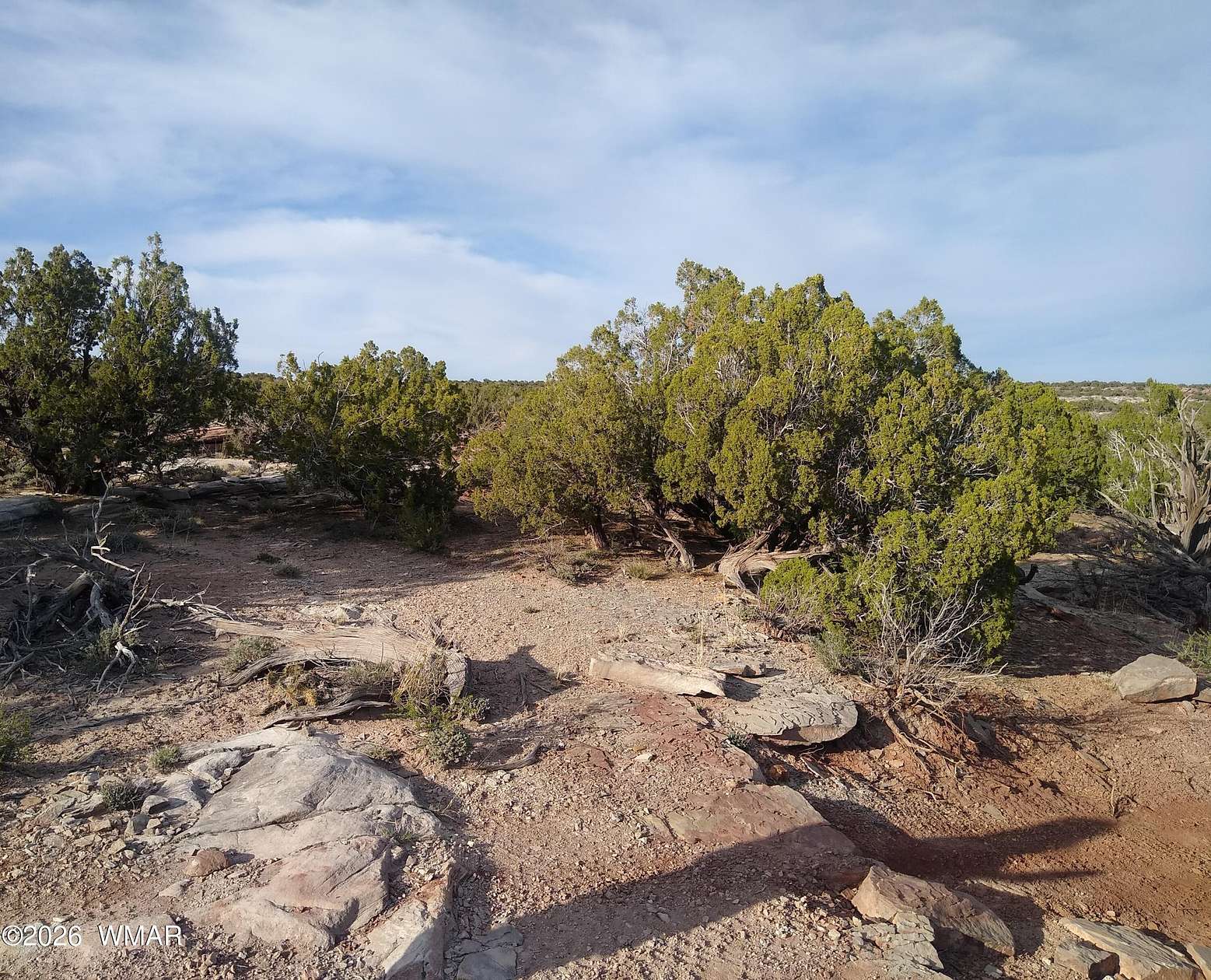 40 Acres of Recreational & Residential Land for Sale in White Mountain Lake, Arizona