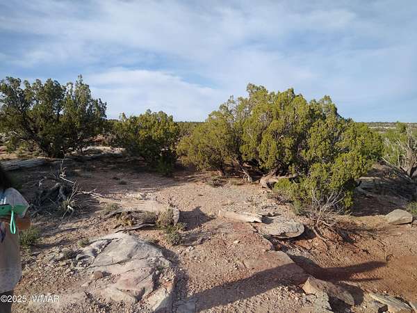40 Acres of Recreational Land for Sale in White Mountain Lake, Arizona