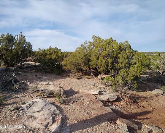 40 Acres of Recreational & Residential Land for Sale in White Mountain Lake, Arizona
