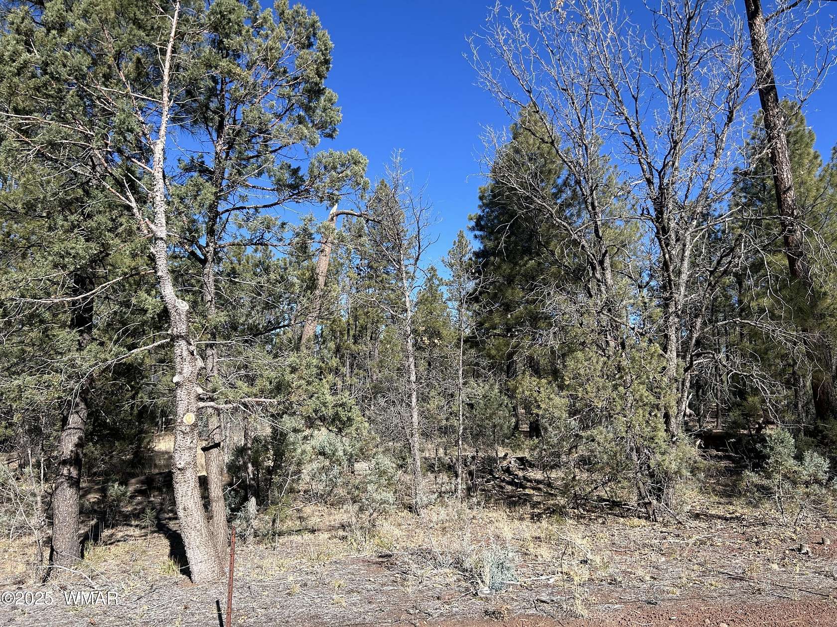 1.36 Acres of Residential Land for Sale in Lakeside, Arizona
