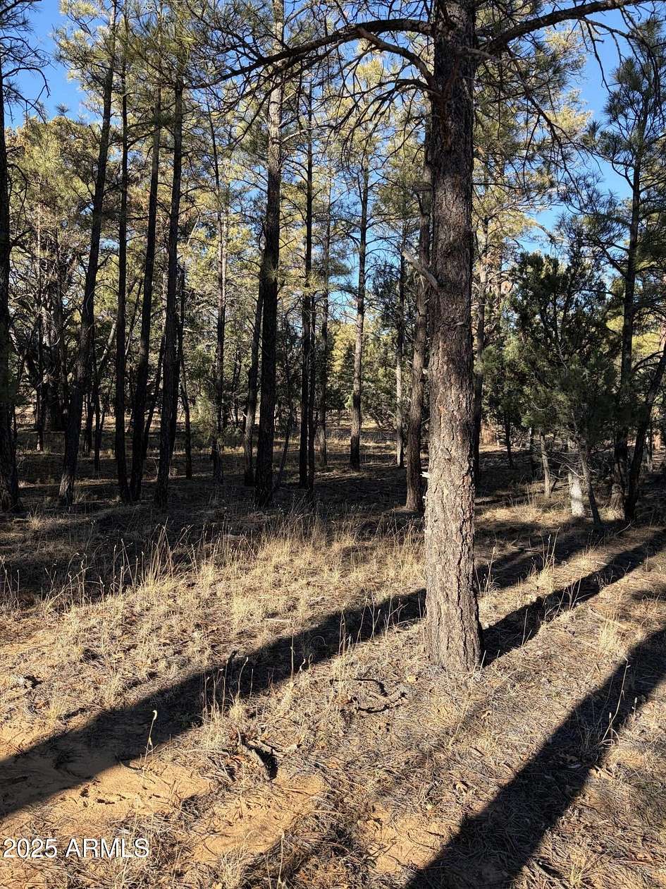 0.35 Acres of Residential Land for Sale in Show Low, Arizona