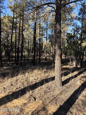 0.35 Acres of Residential Land for Sale in Show Low, Arizona