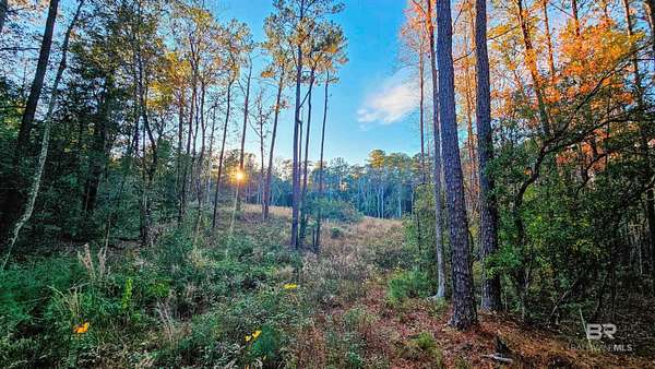 4 Acres of Residential Land for Sale in Bay Minette, Alabama