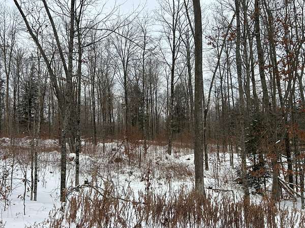 8.12 Acres of Recreational Land for Sale in Pelican Lake, Wisconsin