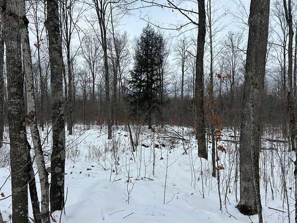8.12 Acres of Recreational Land for Sale in Pelican Lake, Wisconsin