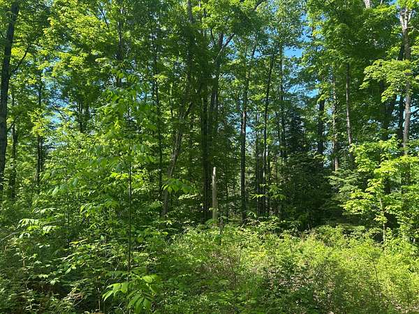 8.12 Acres of Recreational Land for Sale in Pelican Lake, Wisconsin