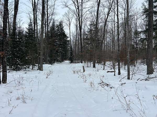 6 Acres of Recreational Land for Sale in Pelican Lake, Wisconsin