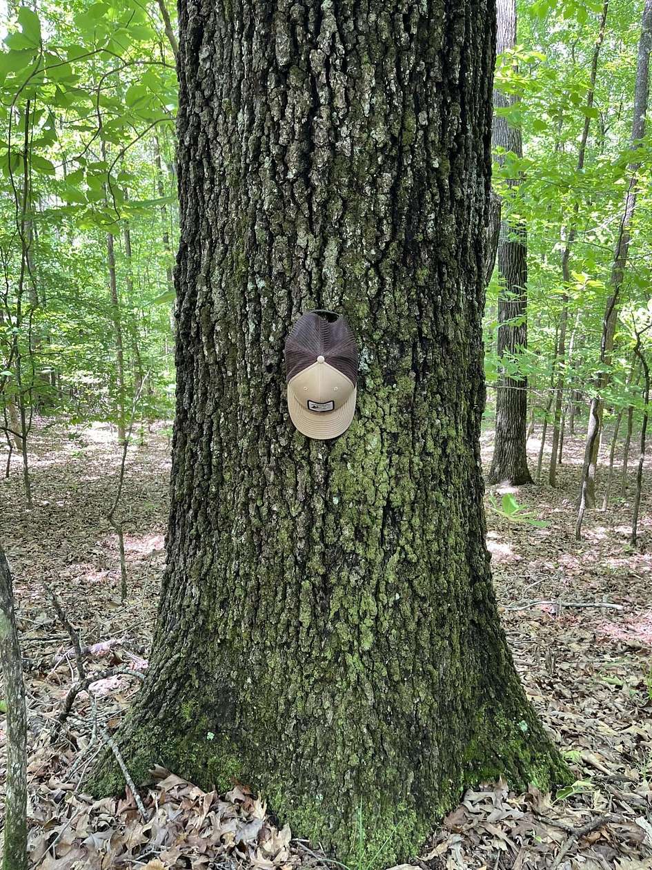 140 Acres of Recreational Land for Sale in Greenwood Springs, Mississippi