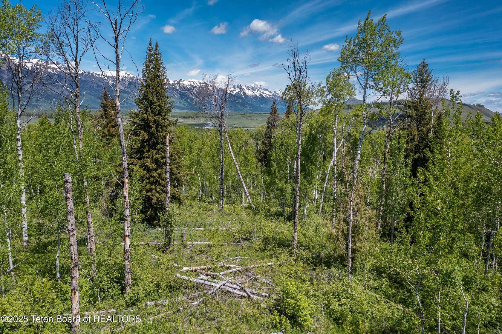 4.24 Acres of Residential Land for Sale in Jackson, Wyoming
