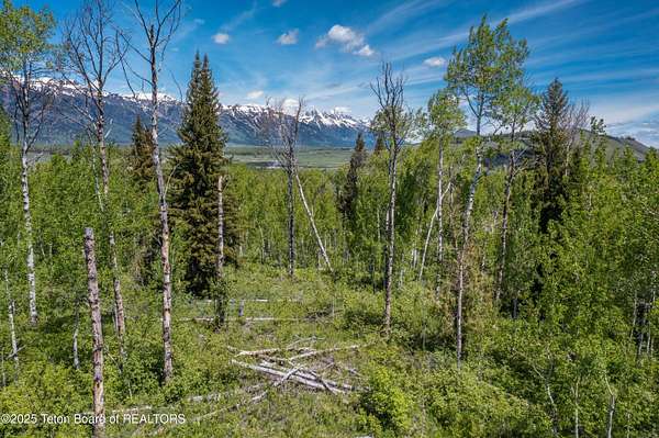 4.24 Acres of Residential Land for Sale in Jackson, Wyoming