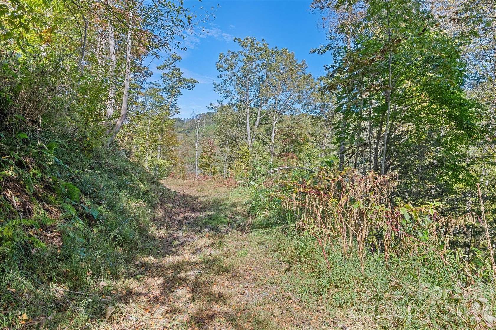 4.47 Acres of Residential Land for Sale in Waynesville, North Carolina