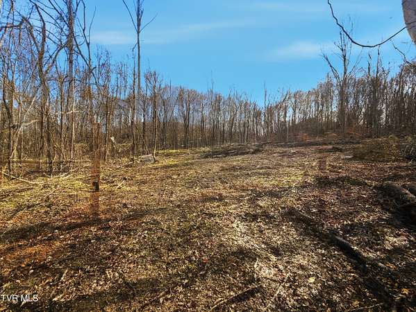 13 Acres of Land for Sale in Limestone, Tennessee