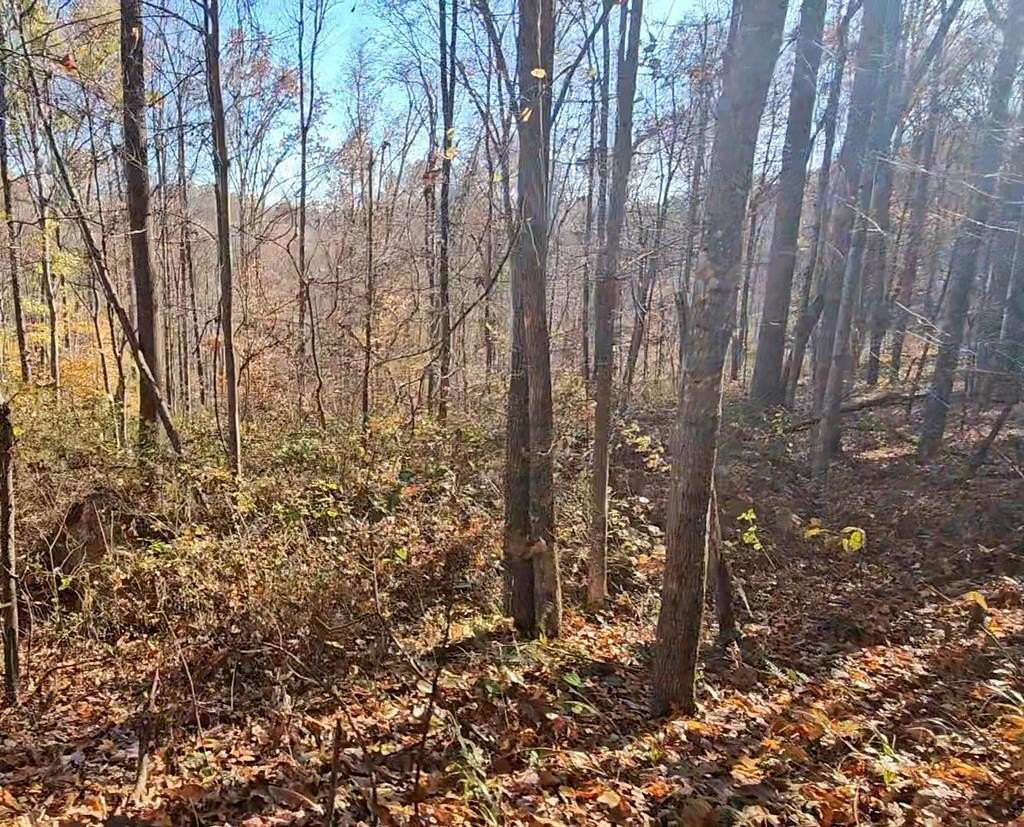65 Acres of Recreational Land for Sale in Louisa, Kentucky