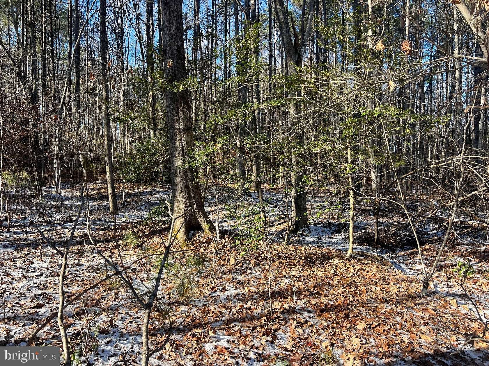 5 Acres of Land for Sale in Mineral, Virginia