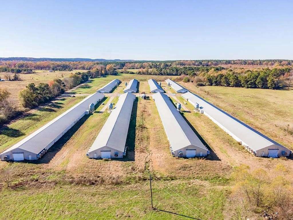 56 Acres of Agricultural Land for Sale in San Augustine, Texas