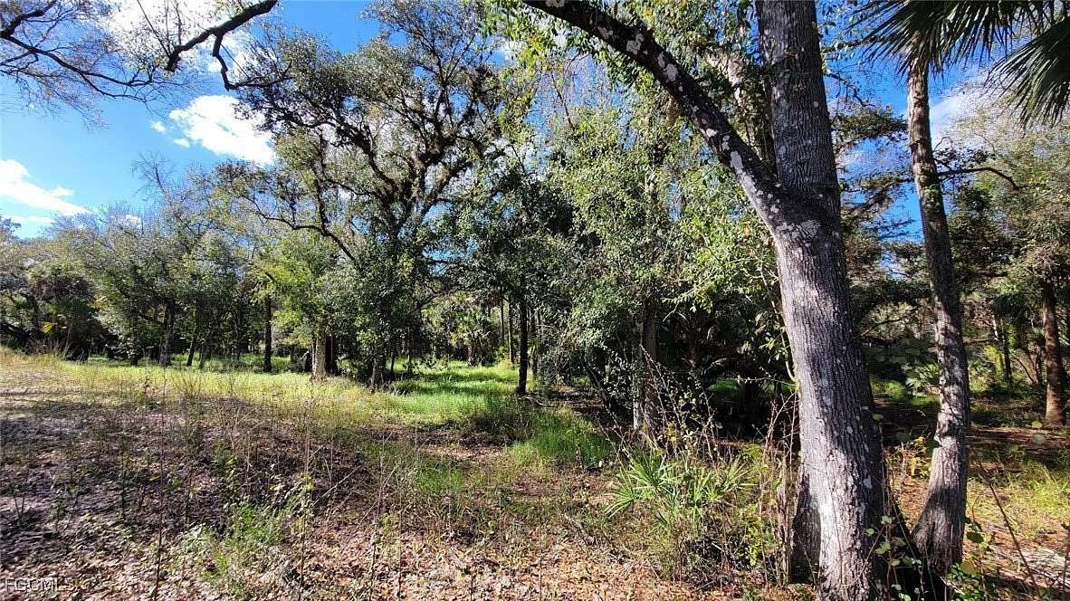 10.7 Acres of Land for Sale in LaBelle, Florida