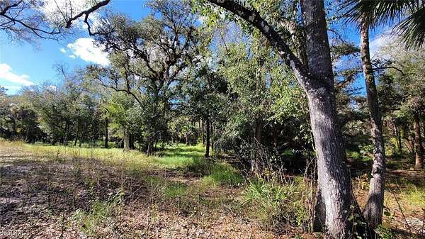 10.7 Acres of Land for Sale in LaBelle, Florida