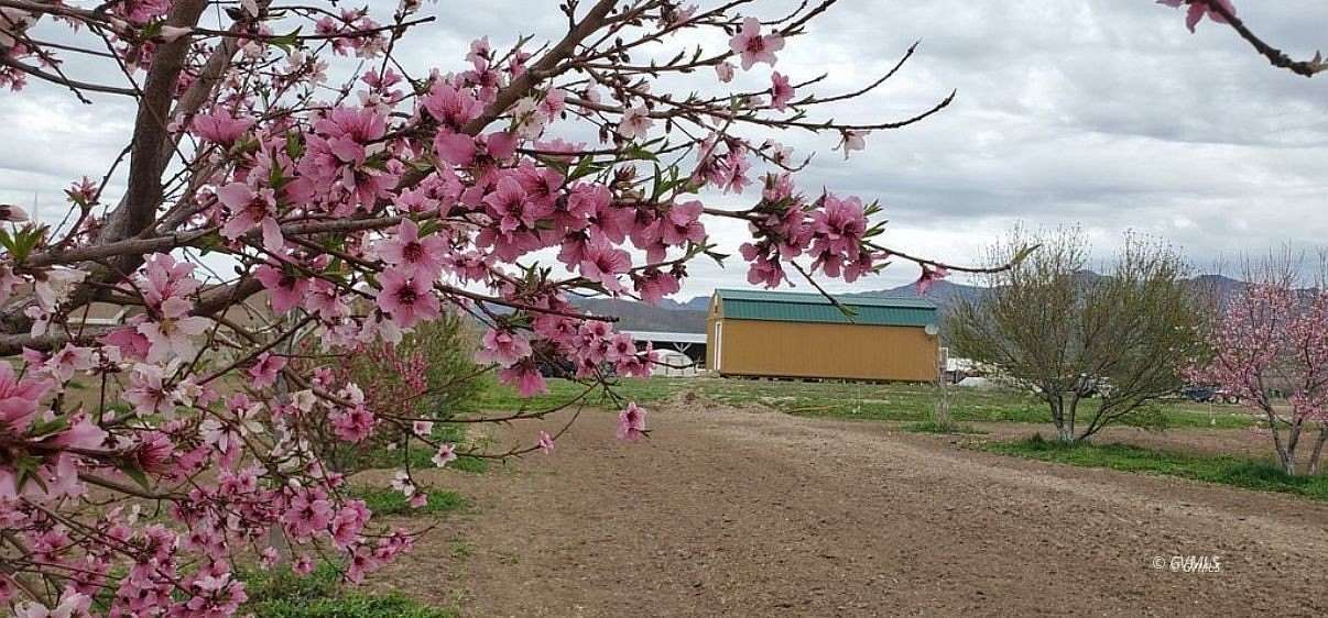3.7 Acres of Land with Home for Sale in Fort Thomas, Arizona