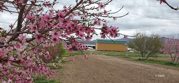 3.7 Acres of Land with Home for Sale in Fort Thomas, Arizona