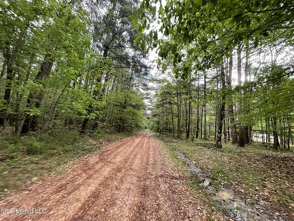9 Acres of Residential Land with Home for Sale in Louin, Mississippi