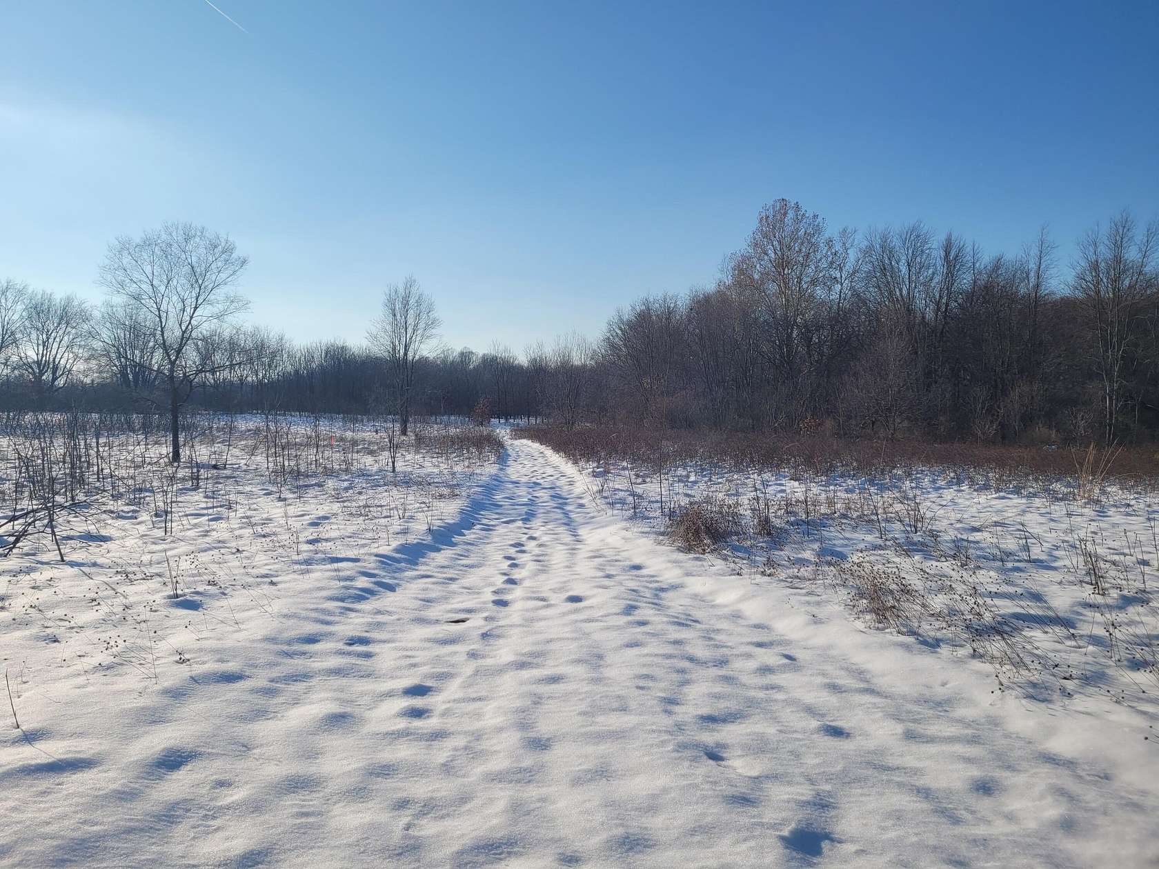 26.8 Acres of Recreational Land for Sale in Plainwell, Michigan
