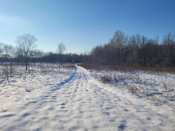 26.8 Acres of Recreational Land for Sale in Plainwell, Michigan