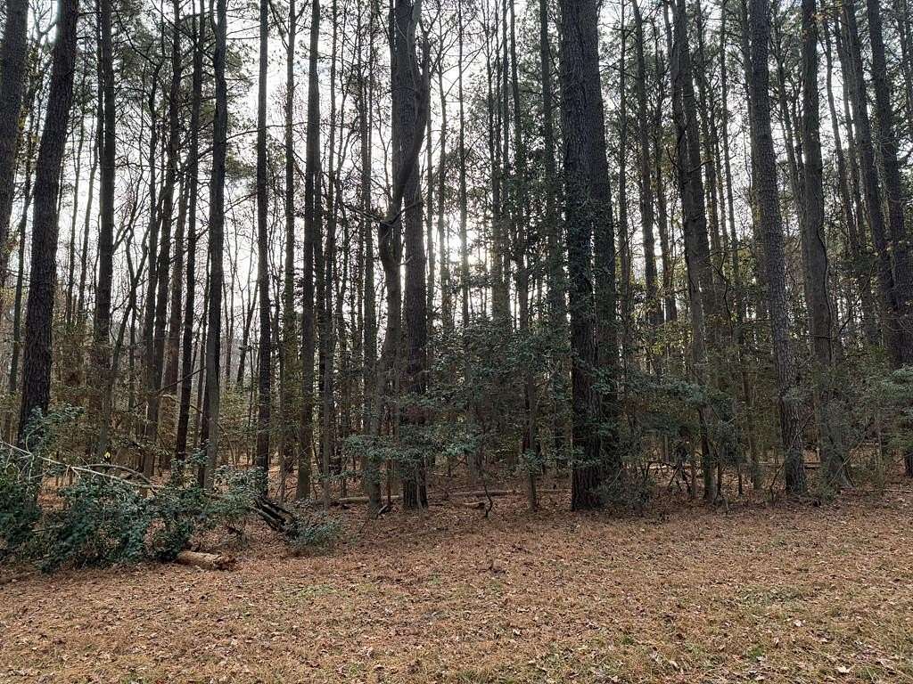 1 Acre of Residential Land for Sale in Heathsville, Virginia