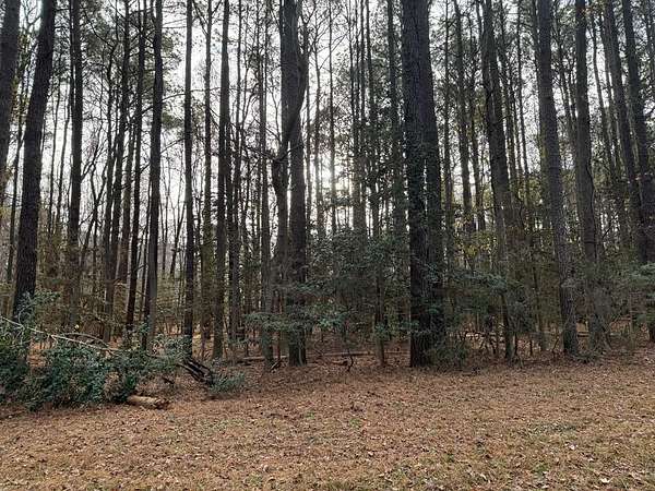 1 Acre of Residential Land for Sale in Heathsville, Virginia