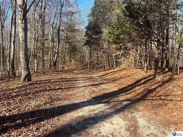 19 Acres of Land for Sale in Buffalo, Kentucky