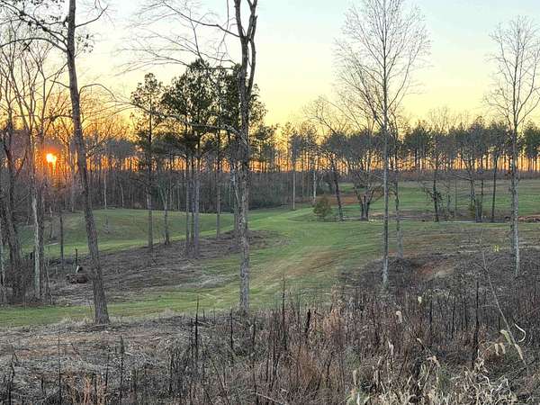 161 Acres of Land for Sale in Bolivar, Tennessee