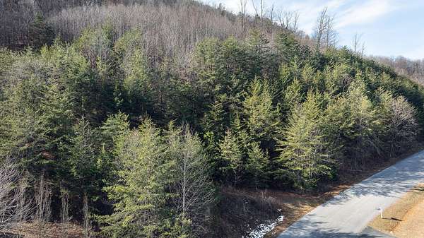 2 Acres of Residential Land for Sale in Roanoke, Virginia