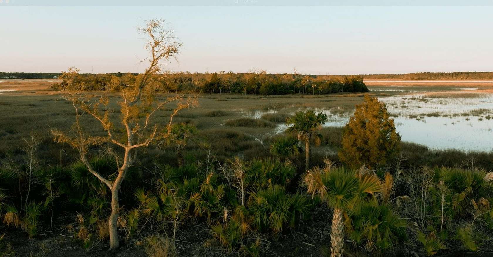 0.54 Acres of Residential Land for Sale in Charleston, South Carolina