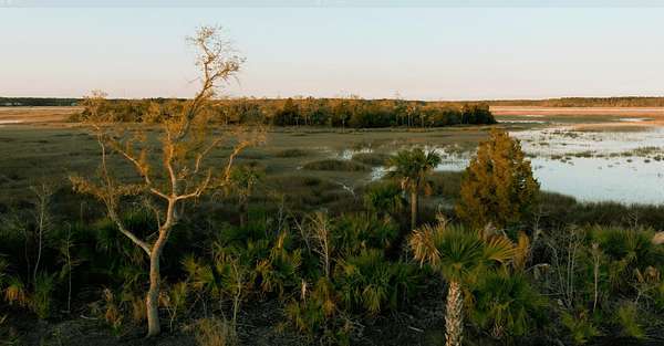 0.54 Acres of Residential Land for Sale in Charleston, South Carolina