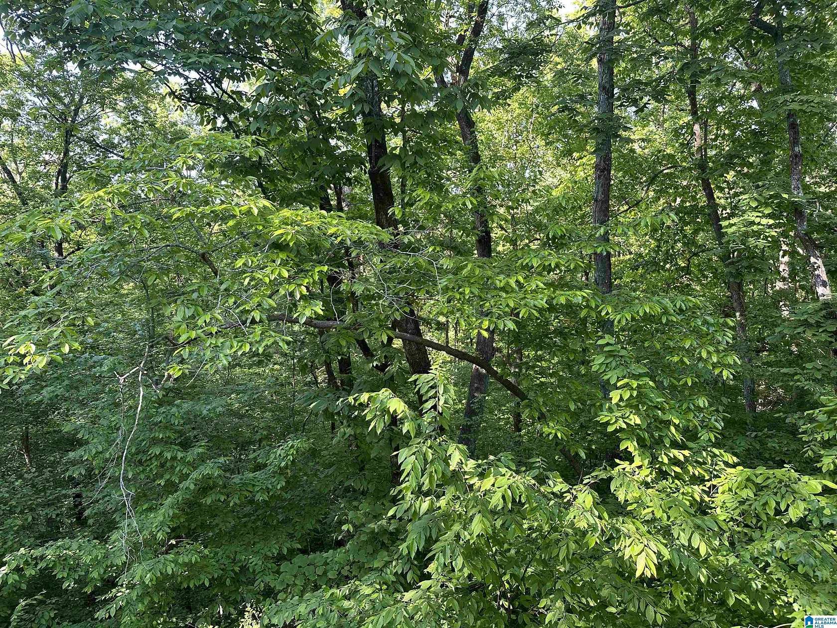 0.32 Acres of Land for Sale in Alpine, Alabama
