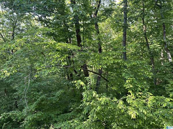 0.32 Acres of Land for Sale in Alpine, Alabama