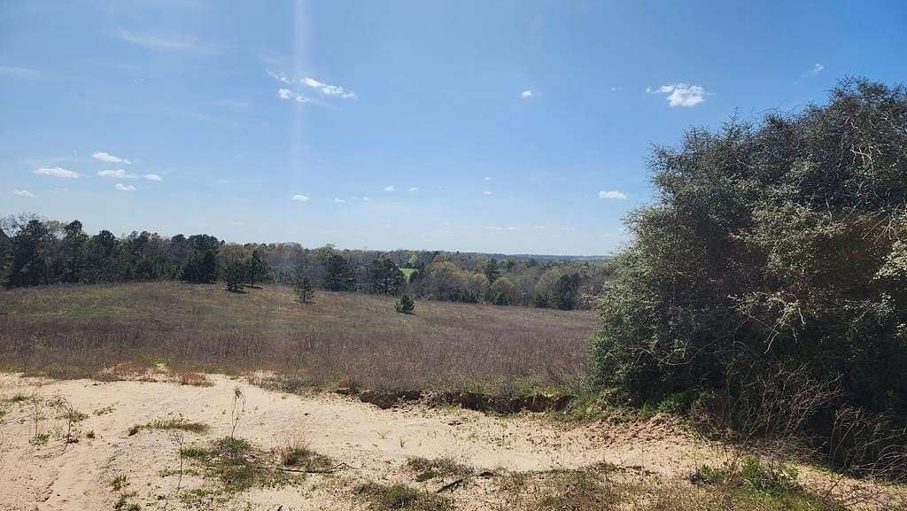 73.5 Acres of Land for Sale in Palestine, Texas