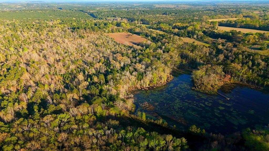 73.5 Acres of Land for Sale in Palestine, Texas